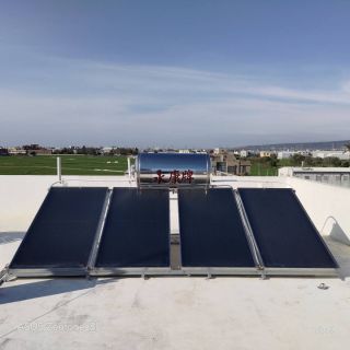 337182684_1264318324436932_6874765198552996262_n